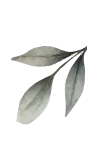 Decoration Leaf